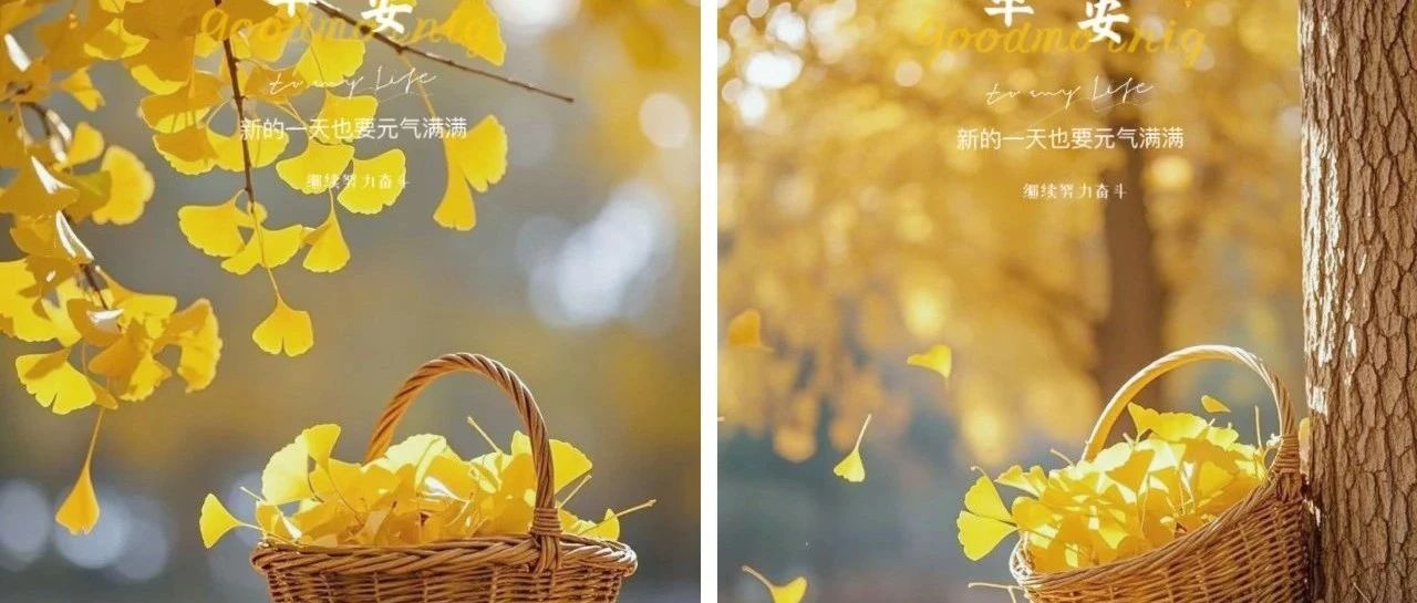 题图-“ ²⁰²⁴/₁₁.₀₇ᵕ̈朋友圈🥂早安文案˗ˏˋ🧡ˎˊ˗ ”