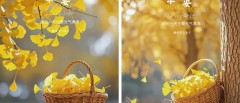 题图-“ ²⁰²⁴/₁₁.₀₇ᵕ̈朋友圈🥂早安文案˗ˏˋ🧡ˎˊ˗ ”
