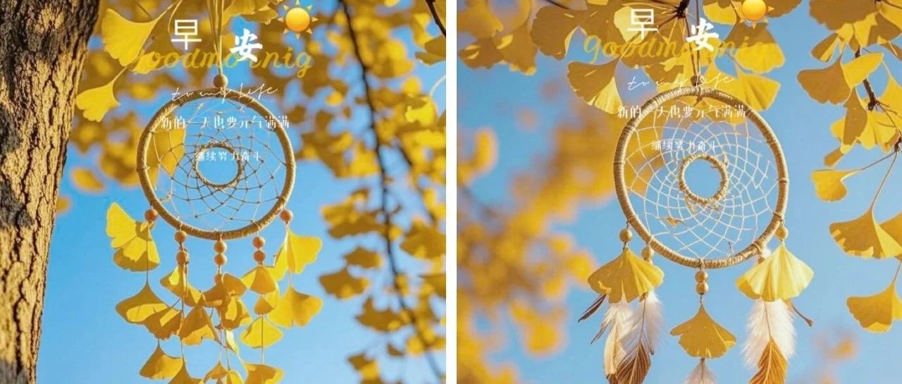 题图-“˗ˋˏ早安朋友圈文案ˎˊ˗²⁰²⁴/₁₁.₀₅：岁寒添衣，照顾好自己”