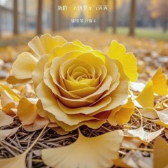 题图-“ ²⁰²⁴/₁₁.₀₄ᵕ̈朋友圈🥂早安文案˗ˏˋ🧡ˎˊ˗ ”