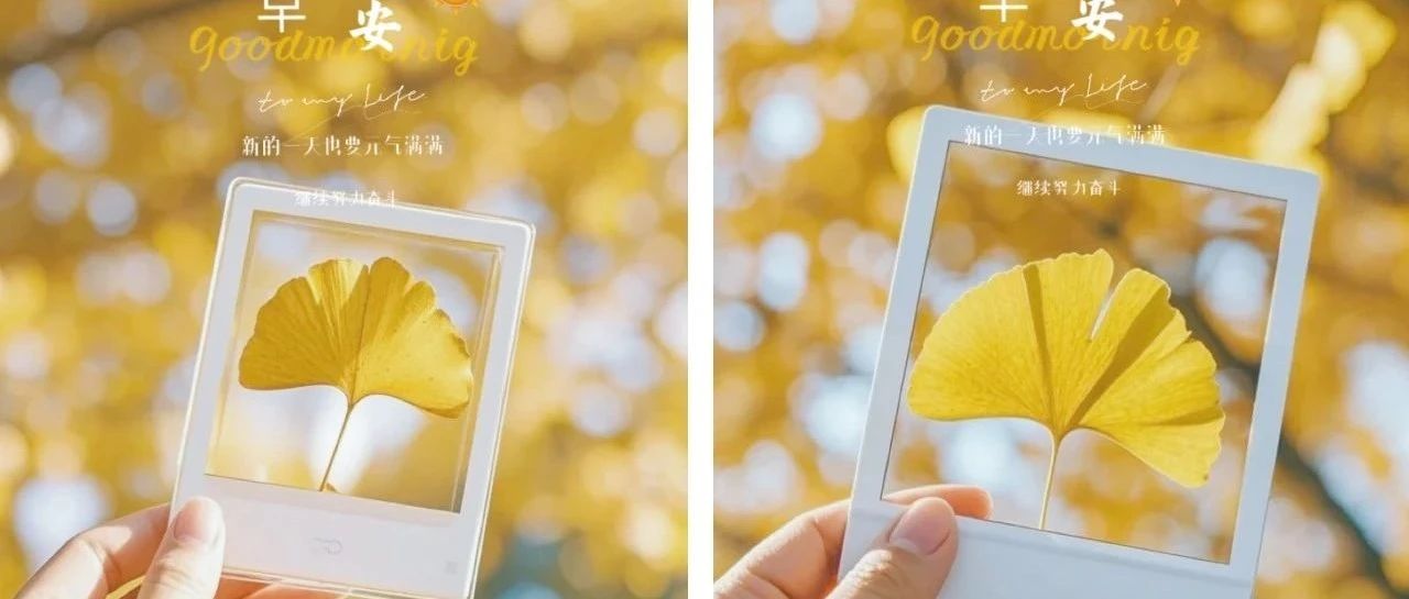题图-“ ²⁰²⁴/₁₁.₀₁ᵕ̈ 朋友圈🥂早安文案˗ˏˋ🧡ˎˊ˗ ”