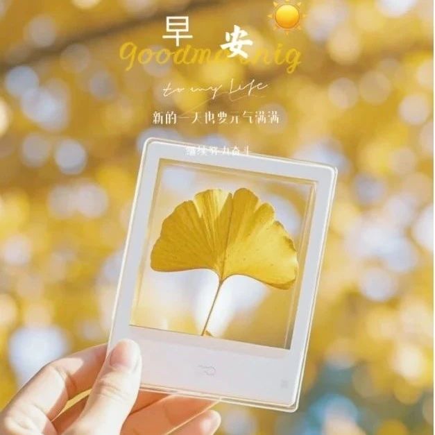 题图-“ ²⁰²⁴/₁₁.₀₁ᵕ̈ 朋友圈🥂早安文案˗ˏˋ🧡ˎˊ˗ ”