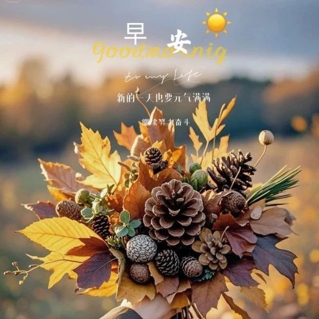 题图-“˗ˋˏ早安朋友圈文案ˎˊ˗²⁰²⁴/₁₀.₃₁：心情如花，生活如歌”