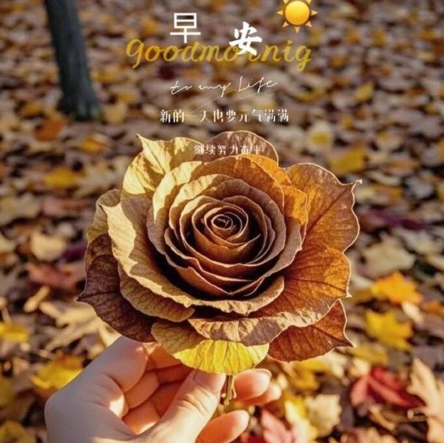 题图-“ ²⁰²⁴/₁₀.₃₀ᵕ̈朋友圈🥂早安文案˗ˏˋ🧡ˎˊ˗ ”