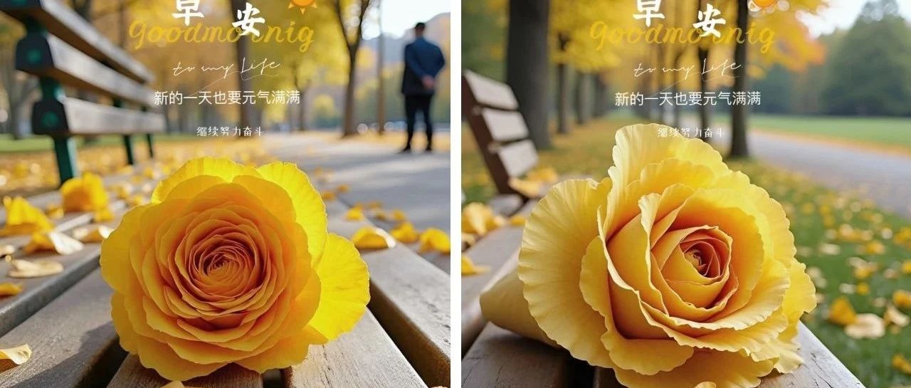 题图-“ ²⁰²⁴/₁₀.₂₇ᵕ̈朋友圈🥂早安文案˗ˏˋ🧡ˎˊ˗ ”