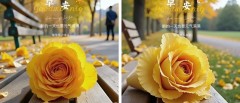 题图-“ ²⁰²⁴/₁₀.₂₇ᵕ̈朋友圈🥂早安文案˗ˏˋ🧡ˎˊ˗ ”