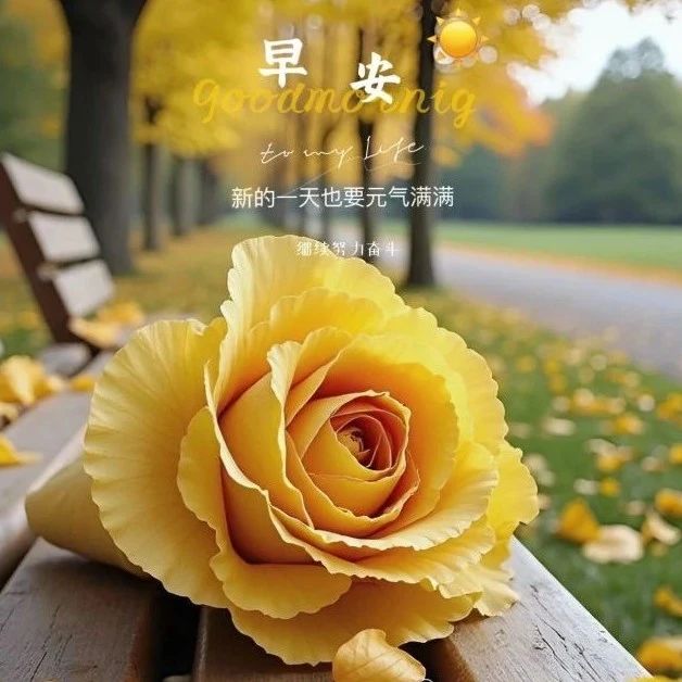 题图-“ ²⁰²⁴/₁₀.₂₇ᵕ̈朋友圈🥂早安文案˗ˏˋ🧡ˎˊ˗ ”