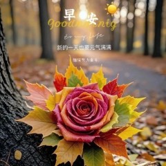 题图-“ ²⁰²⁴/₁₀.₂₄ᵕ̈朋友圈🥂早安文案˗ˏˋ🧡ˎˊ˗ ”