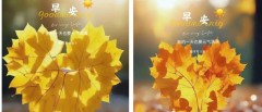 题图-“ ²⁰²⁴/₁₀.₁₇ᵕ̈朋友圈🥂早安文案˗ˏˋ🧡ˎˊ˗ ”