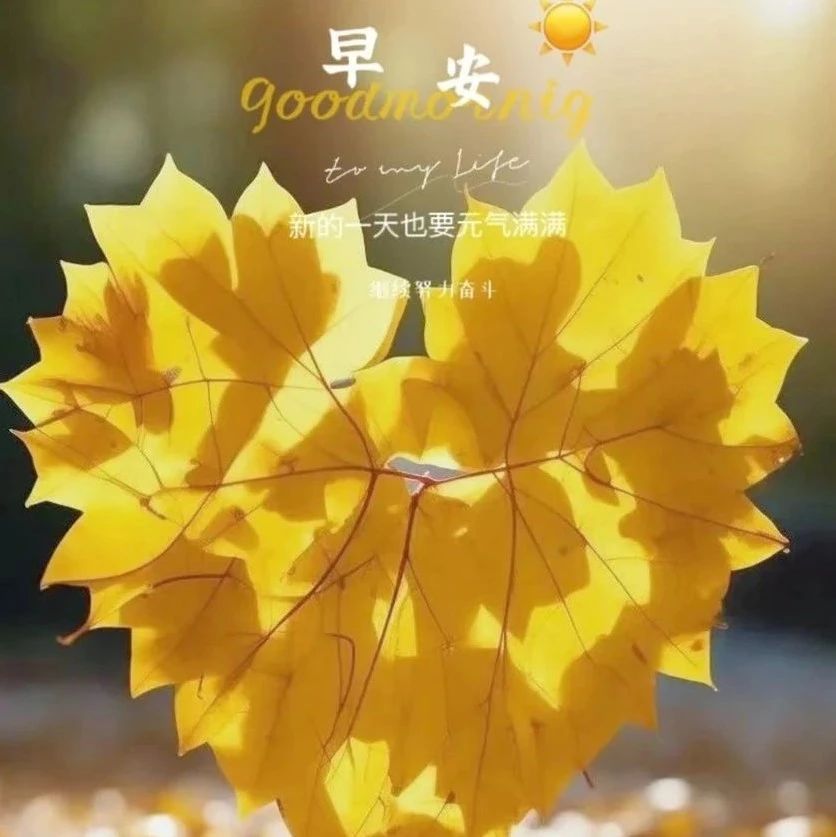 题图-“ ²⁰²⁴/₁₀.₁₇ᵕ̈朋友圈🥂早安文案˗ˏˋ🧡ˎˊ˗ ”