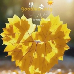 题图-“ ²⁰²⁴/₁₀.₁₇ᵕ̈朋友圈🥂早安文案˗ˏˋ🧡ˎˊ˗ ”
