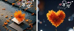 题图-“ ²⁰²⁴/₁₀.₁₅ᵕ̈ 朋友圈🥂早安文案˗ˏˋ🧡ˎˊ˗ ”