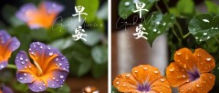 题图-“ ²⁰²⁴/₁₀.₁₄ᵕ̈朋友圈🥂早安文案˗ˏˋ🧡ˎˊ˗ ”