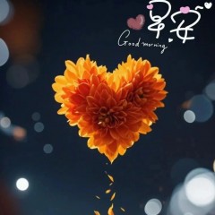题图-“ ²⁰²⁴/₁₀.₁₃ᵕ̈朋友圈🥂早安文案˗ˏˋ🧡ˎˊ˗ ”