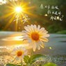 题图-“ ²⁰²⁴/₁₀.₁₂ᵕ̈朋友圈🥂早安文案˗ˏˋ🧡ˎˊ˗ ”